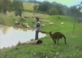 THIS IS SPARTA