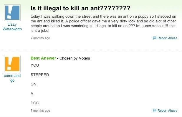 i think the major problem was that he killed the ant