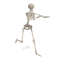 When Mr. Skeltal returns to HL