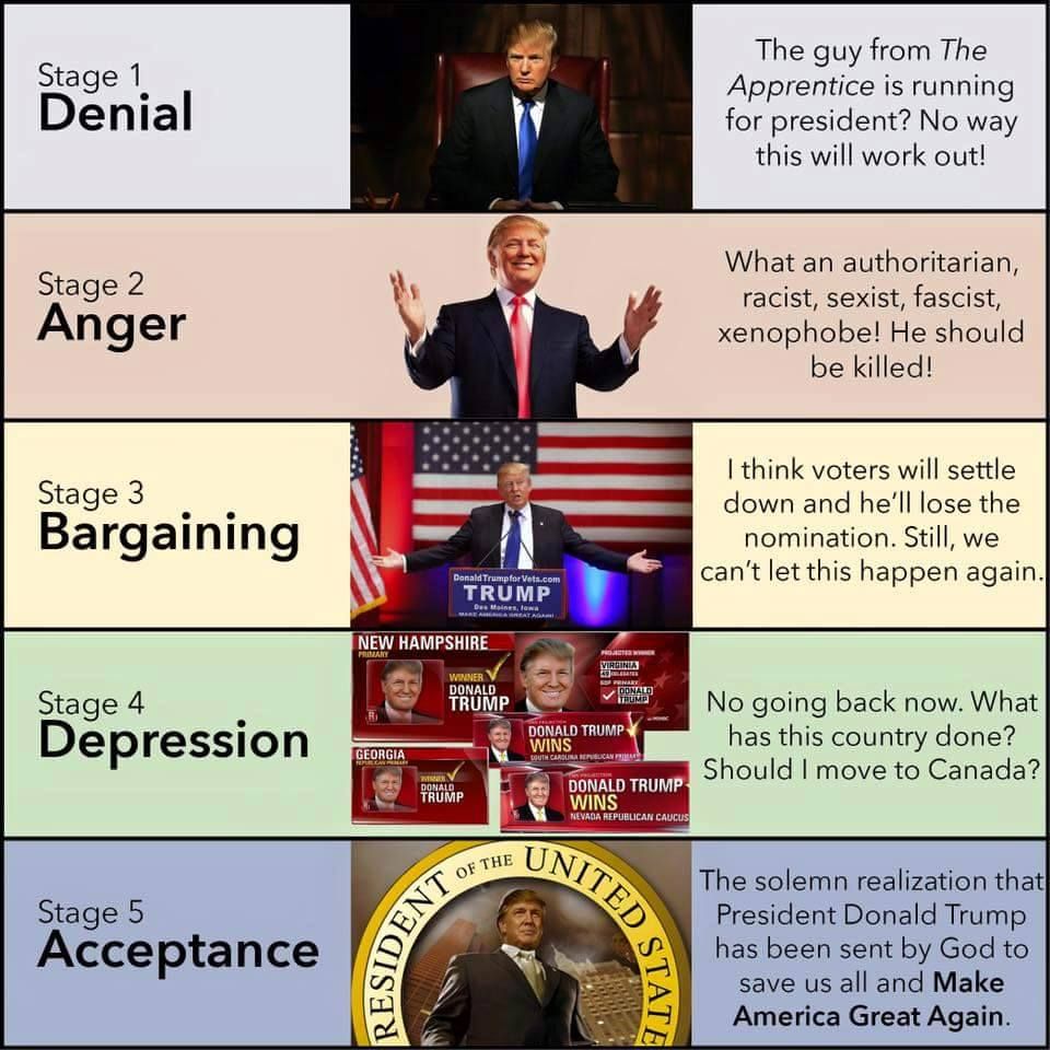 5 Stages of Curing Libtardation