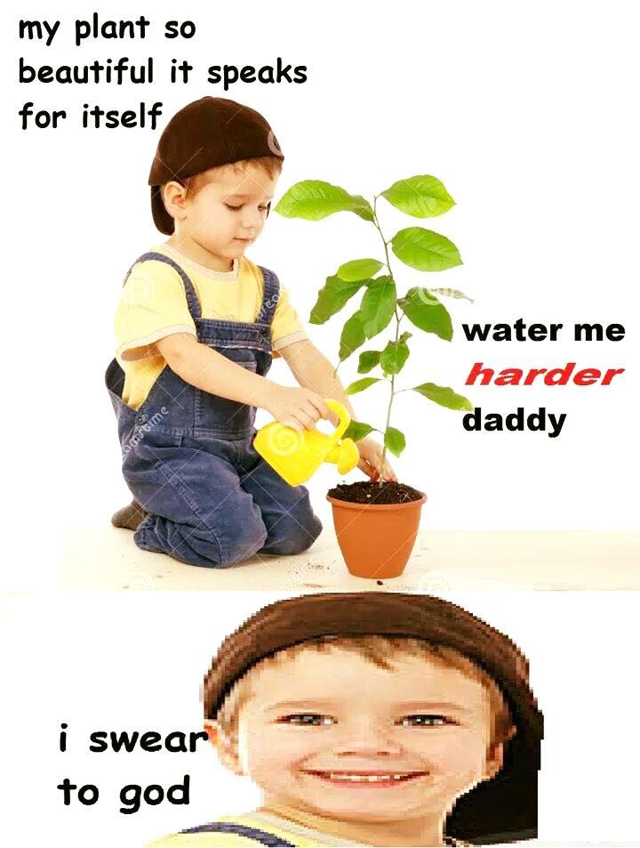 plant your seed in me daddy