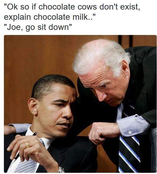 I want someone to have a relationship like Obama has with Joe Biden