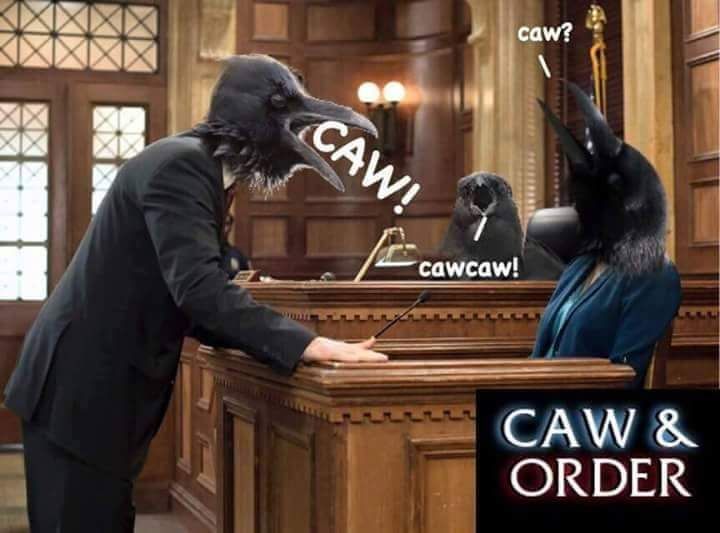 Caw caw