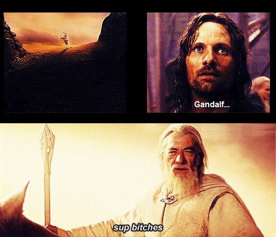 What Gandalf wanted to say in LOTR