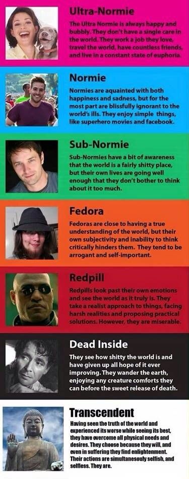 /pol/lack guide