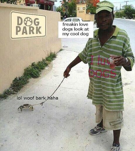 Doge