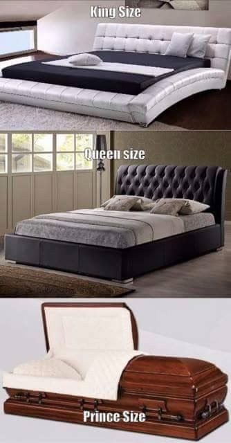 mattress stores be like