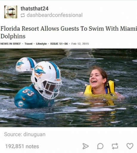 Swimming with dolphins? Count me in!