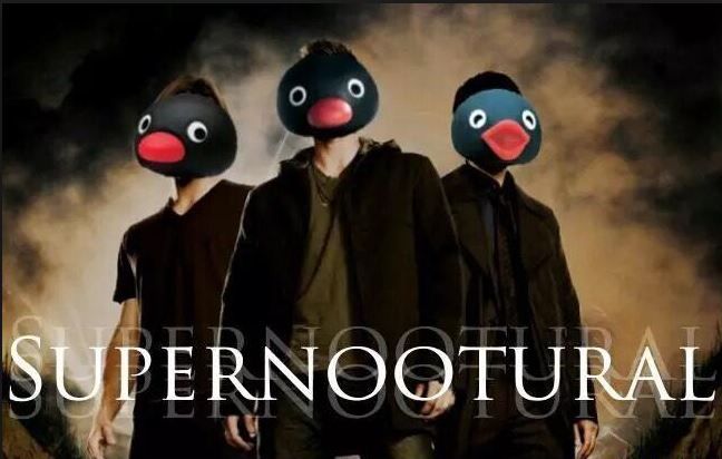 The SuperNoots are back