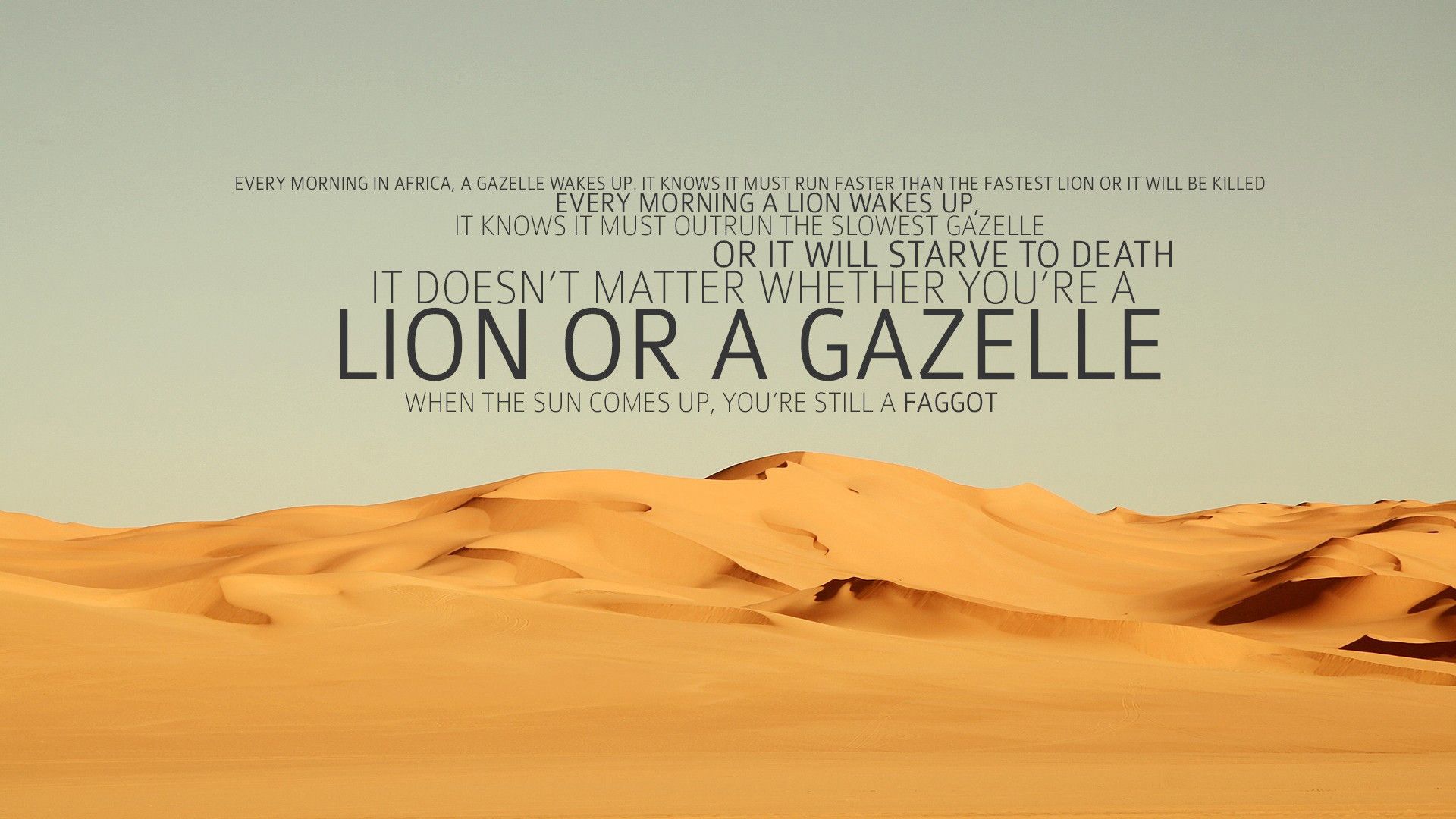 Are you a Lion or a Gazelle