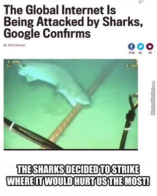 Sharks vs Dank memes