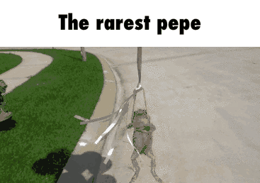 Sacrificing my rarest Pepe in hopes of good karma