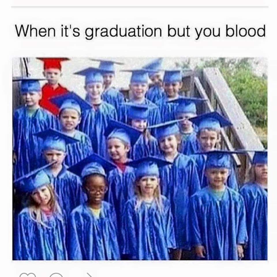 Alpha kid