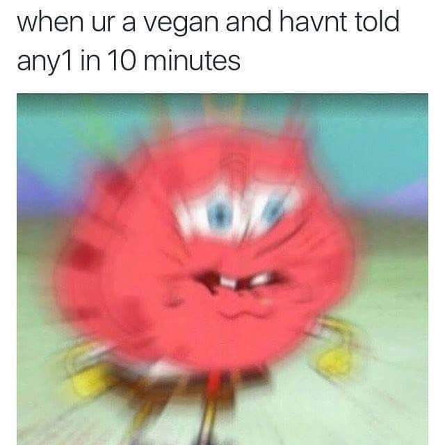 Vegan Memes