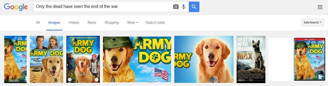 Real pupper hours
