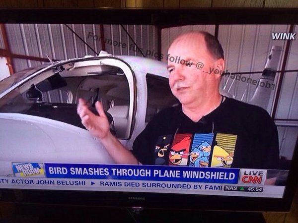 Little does he know that that bird was committing suicide over the recent Angry Birds movie.