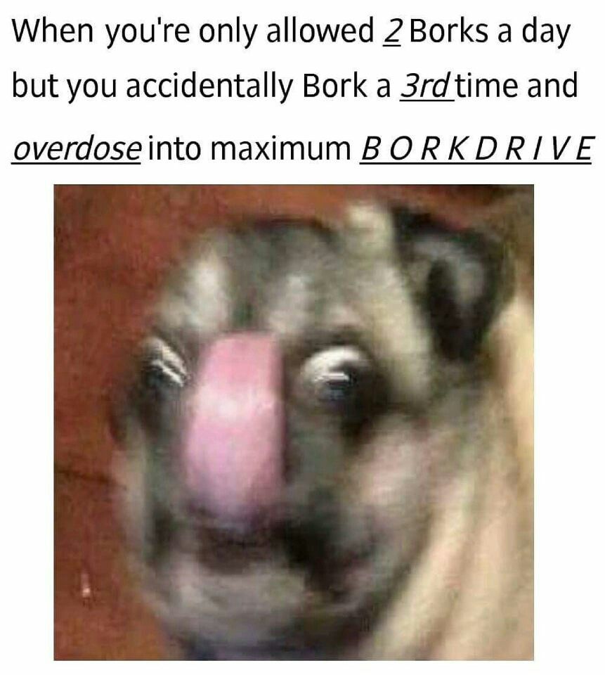 Can't stump the bork