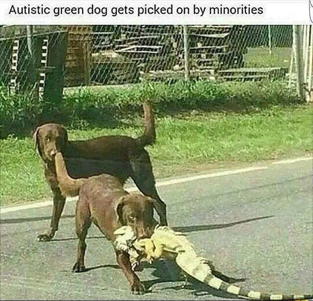 poor lil guy