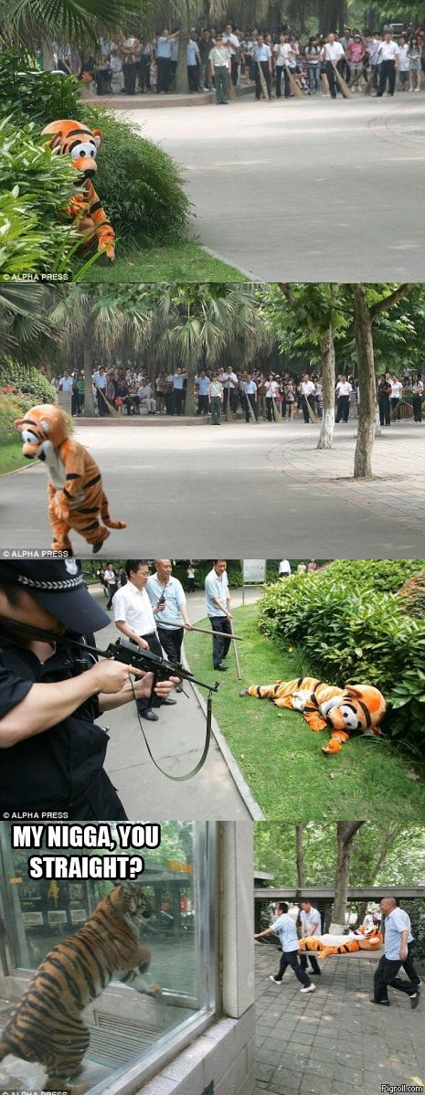 Igor wanted to escape the zoo after he heard what happened to the gorilla