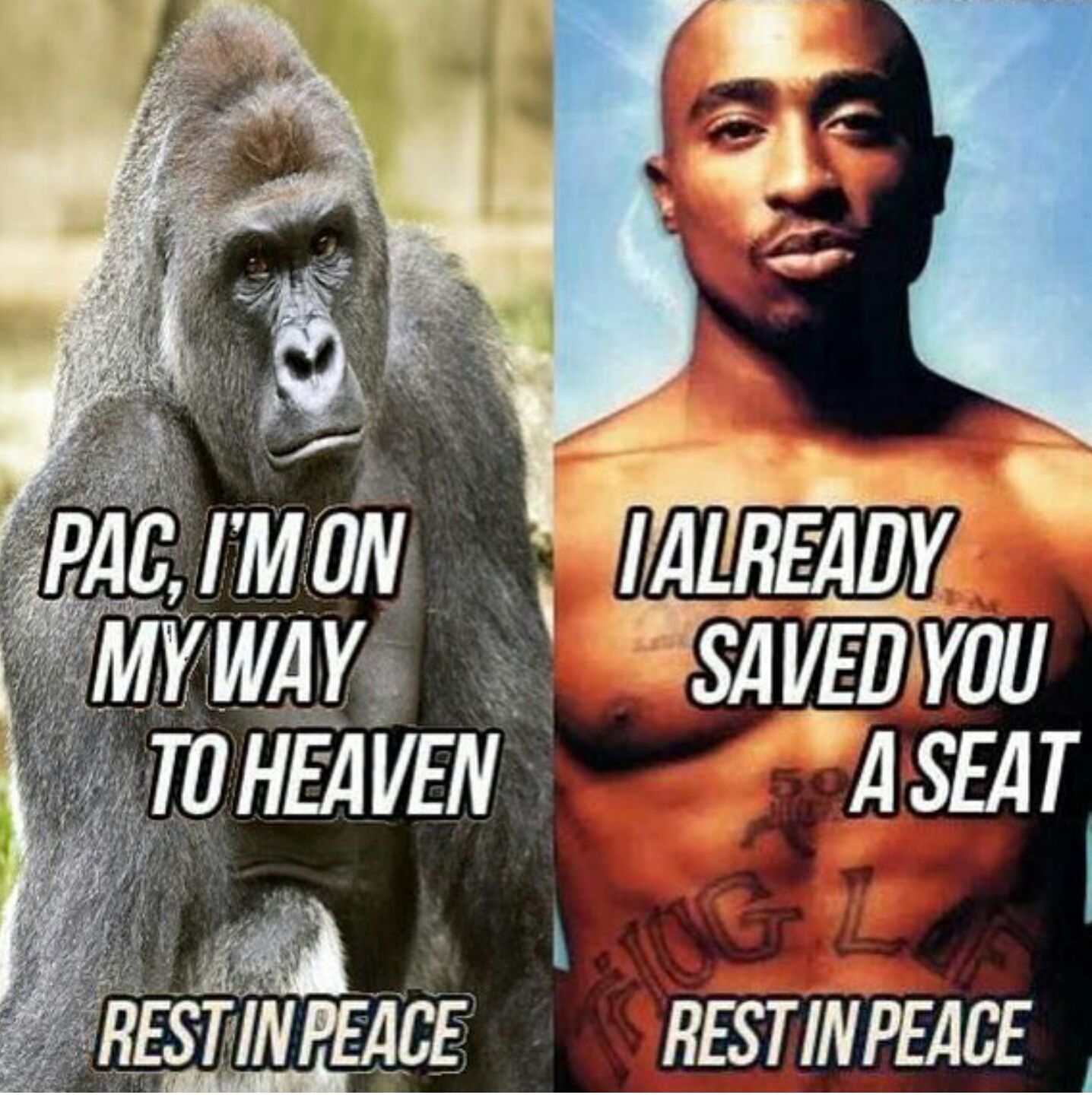 rip mo-nica