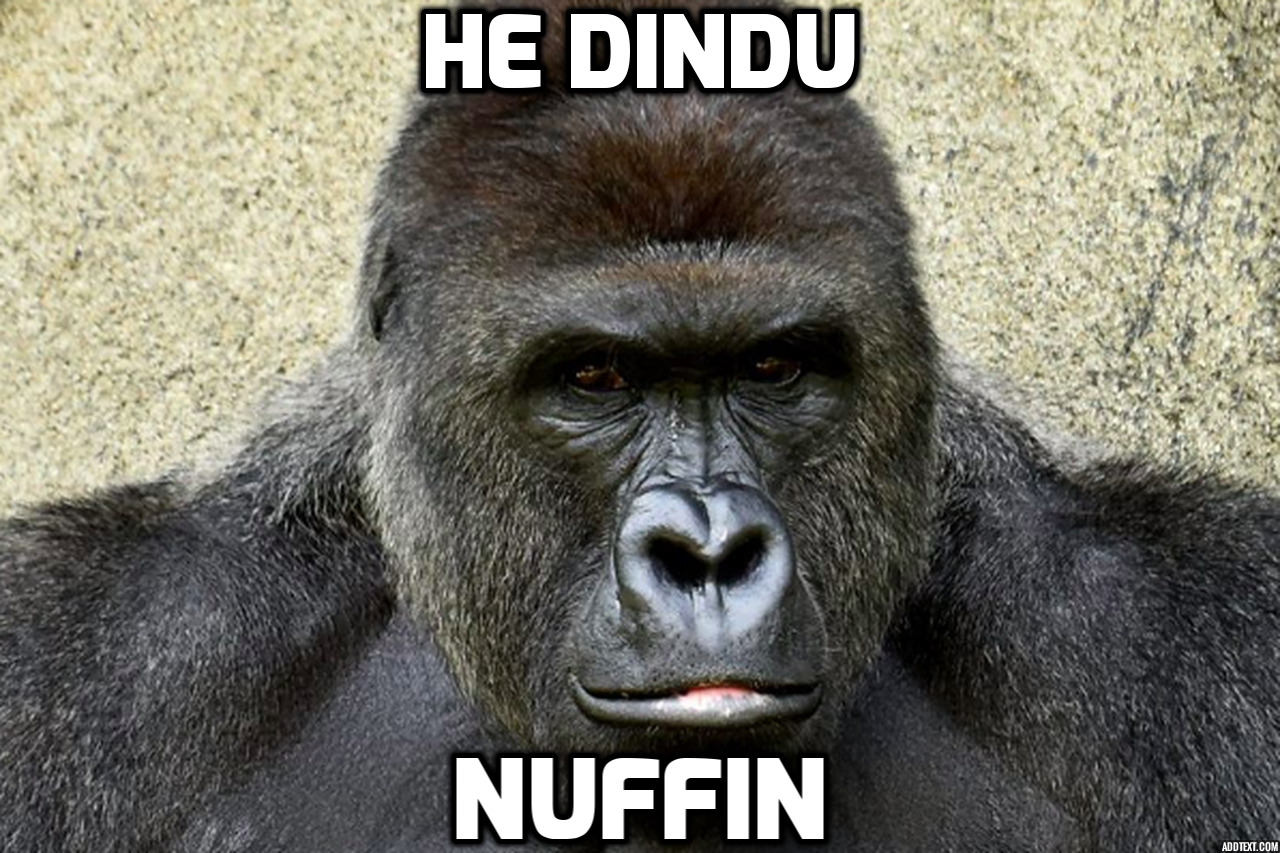 Apes