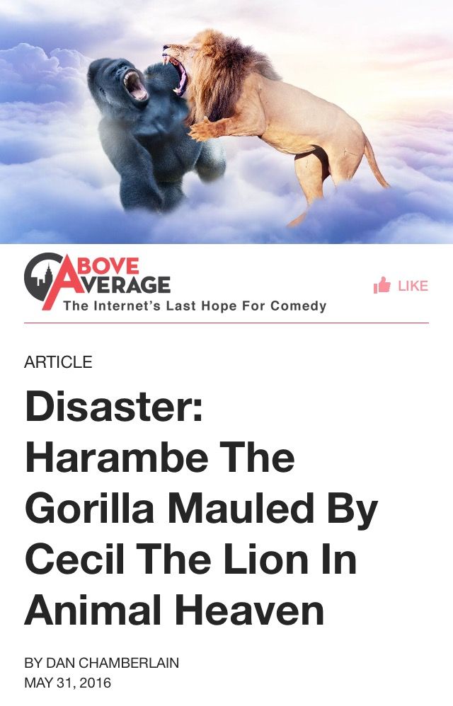 Cecil, no
