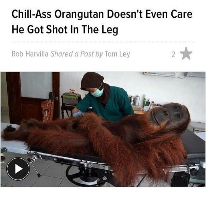 I ain't even mad