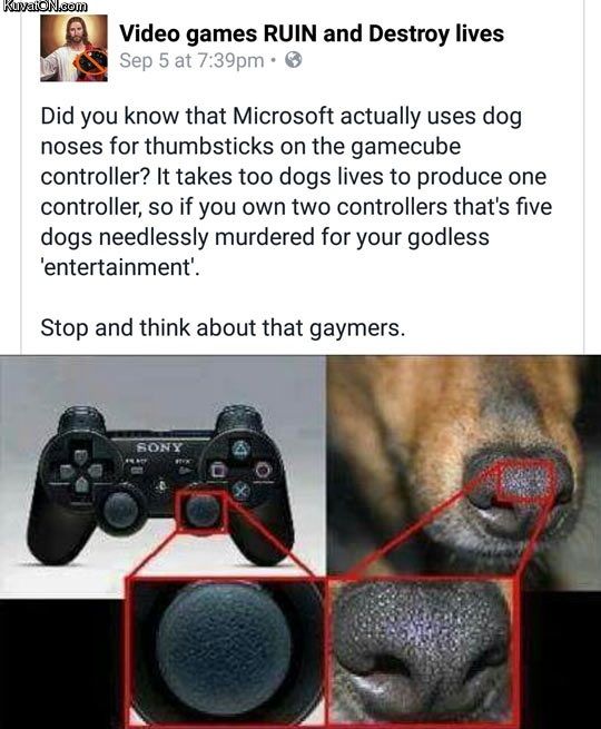 Think about the dogs gaymers