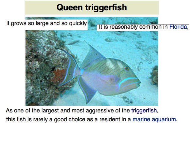 Feminists Favorite Fish