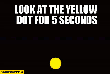 holy crap
