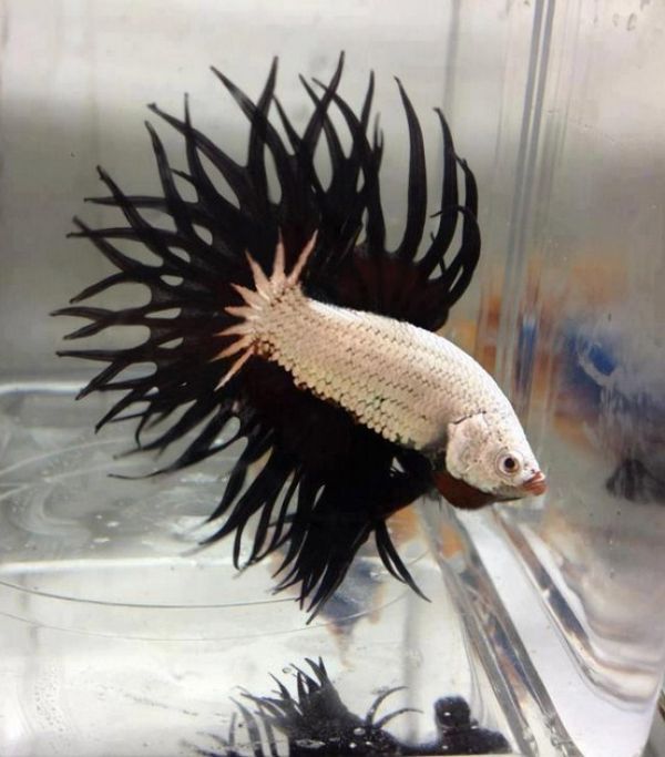 Shut up Mom! It's not 'just a phase'!