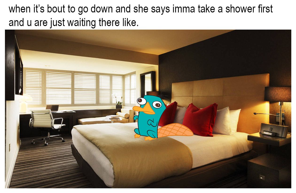waiting for that platypussy