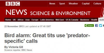 I'll have to switch to medium tits