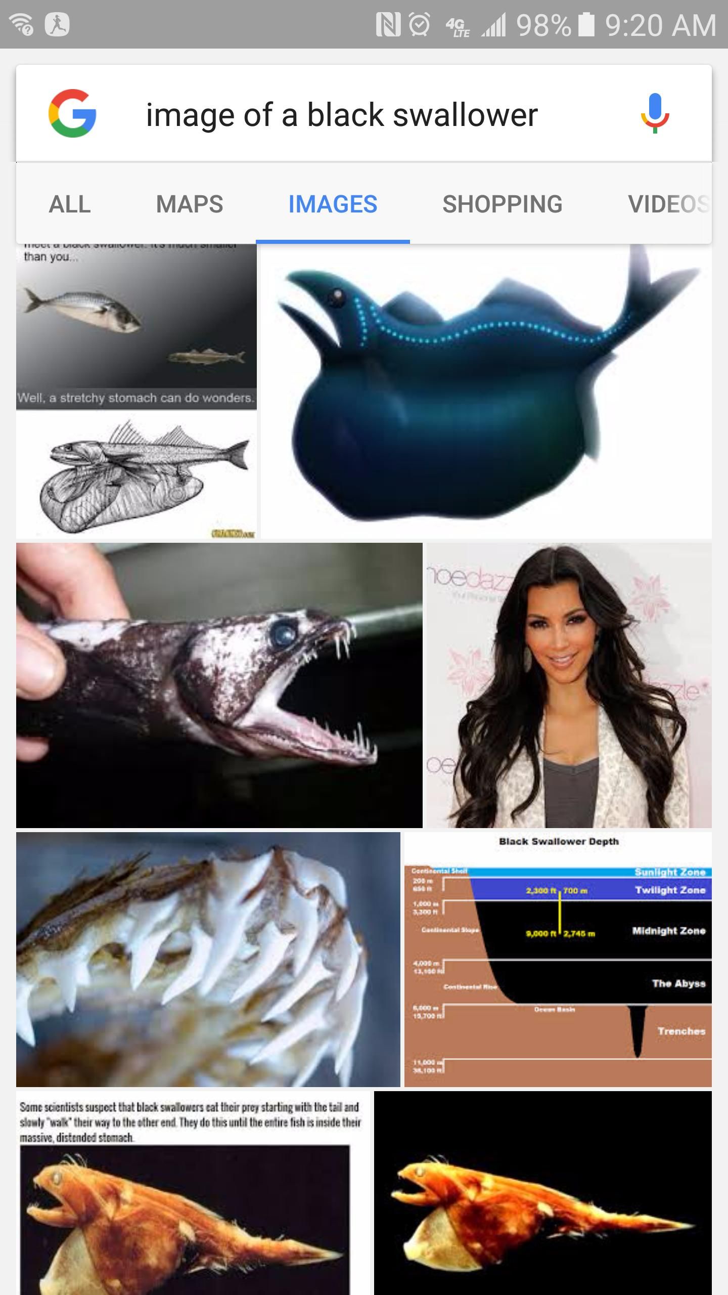 One will bite, the other is a fish