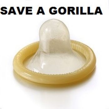Lets make the world a better place.. For gorillas
