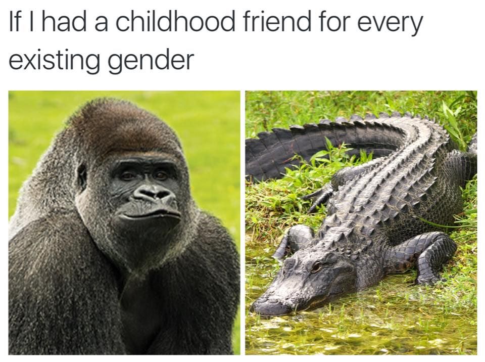 I wish I had friends