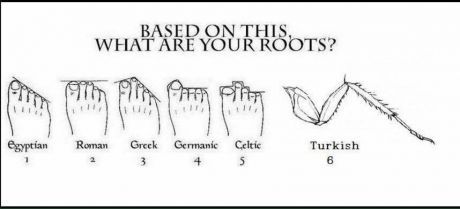 What are your roots?