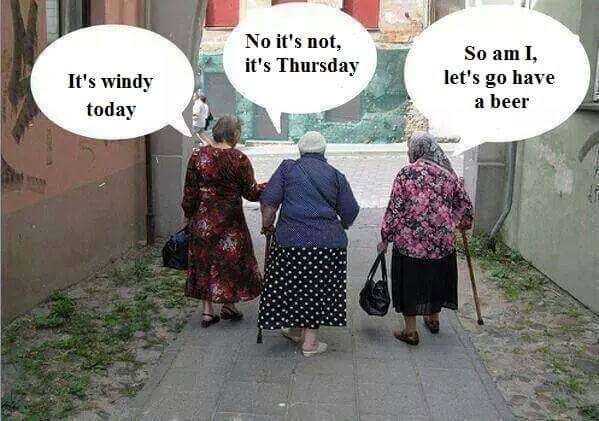 A wild bunch.