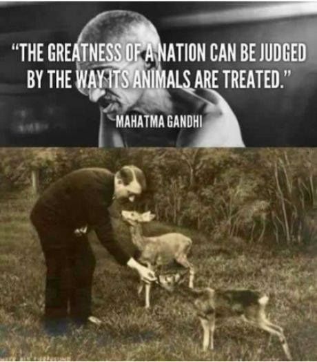 Der Furry Führer