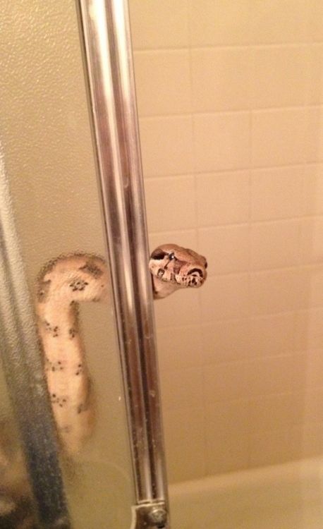 Pass me a towel bro