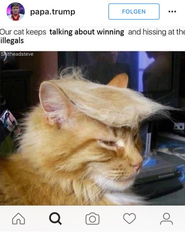 Making Ameowica great again
