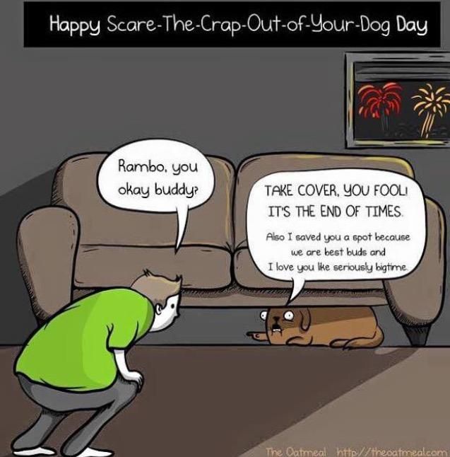 Happy Scare the Crap Out of Your Dog Day!