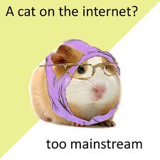 Hipster Guinea