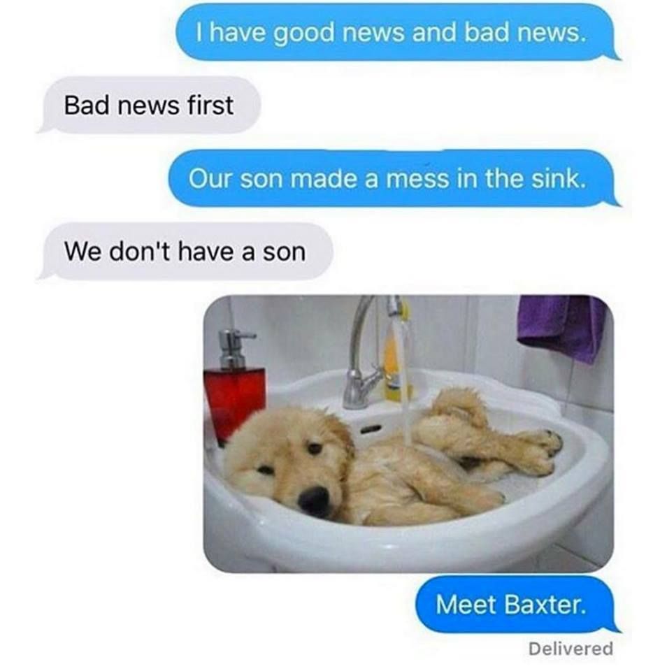 Found a goldmine, perpare your anuses