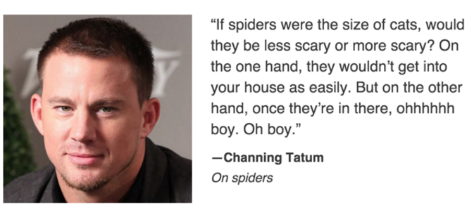 Channing Tatum on spiders.