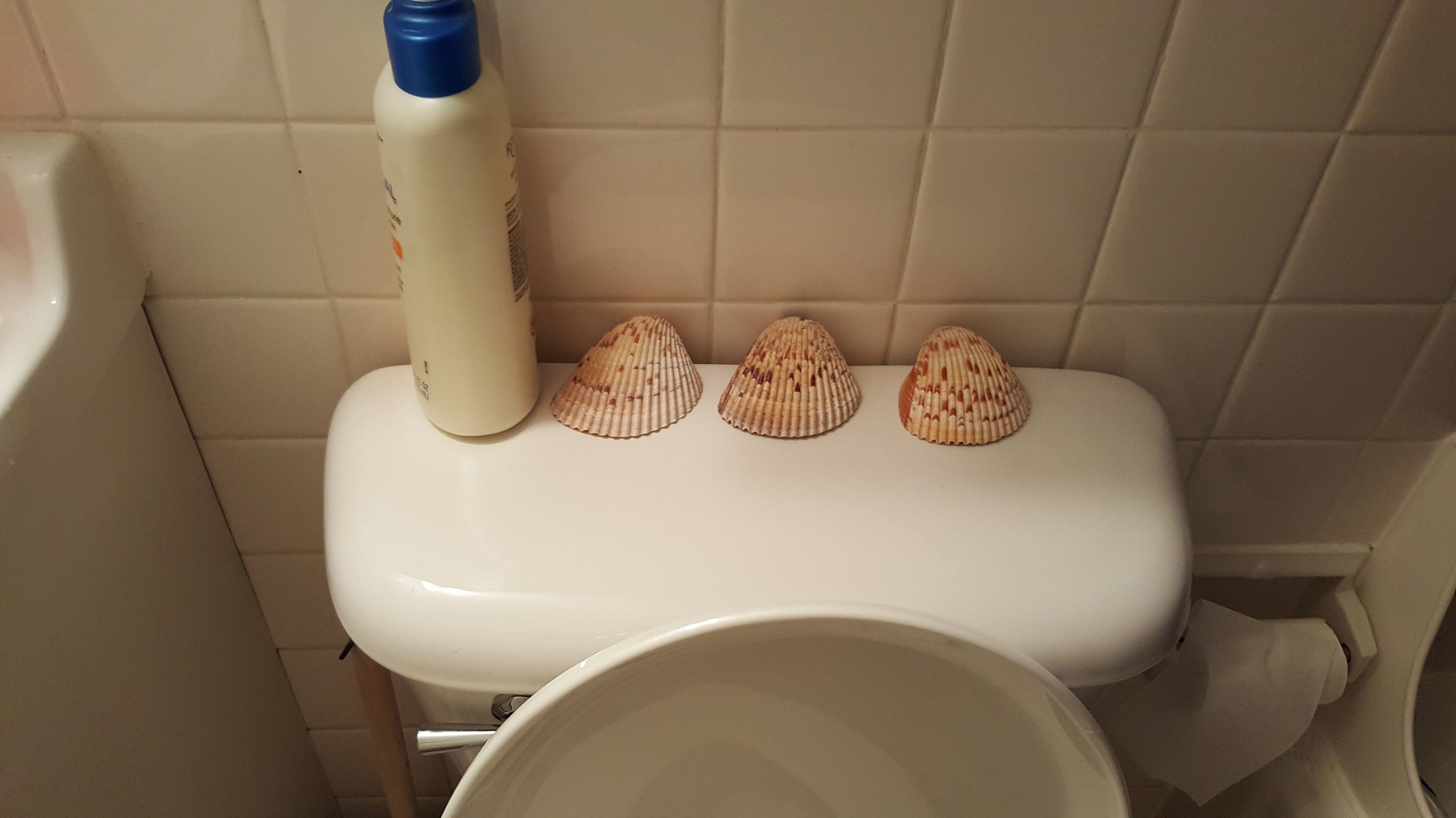 My friend has some pretty advanced technology in his bathroom.