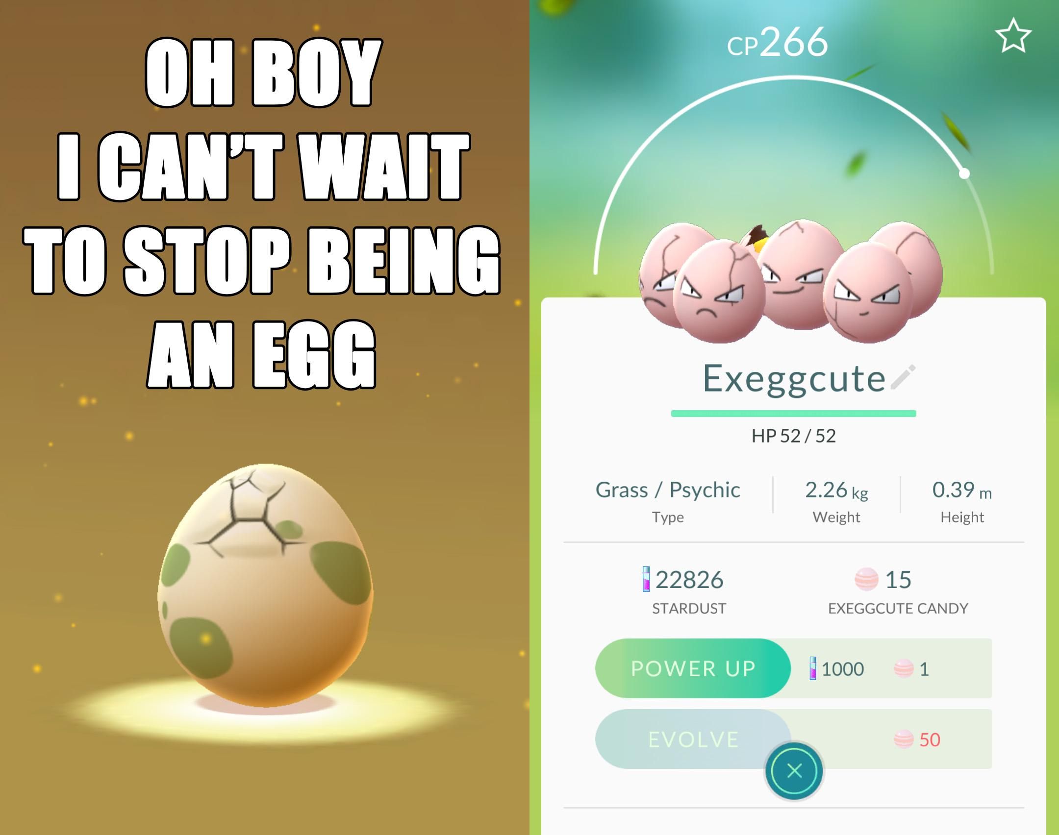 My 5km egg just hatched...