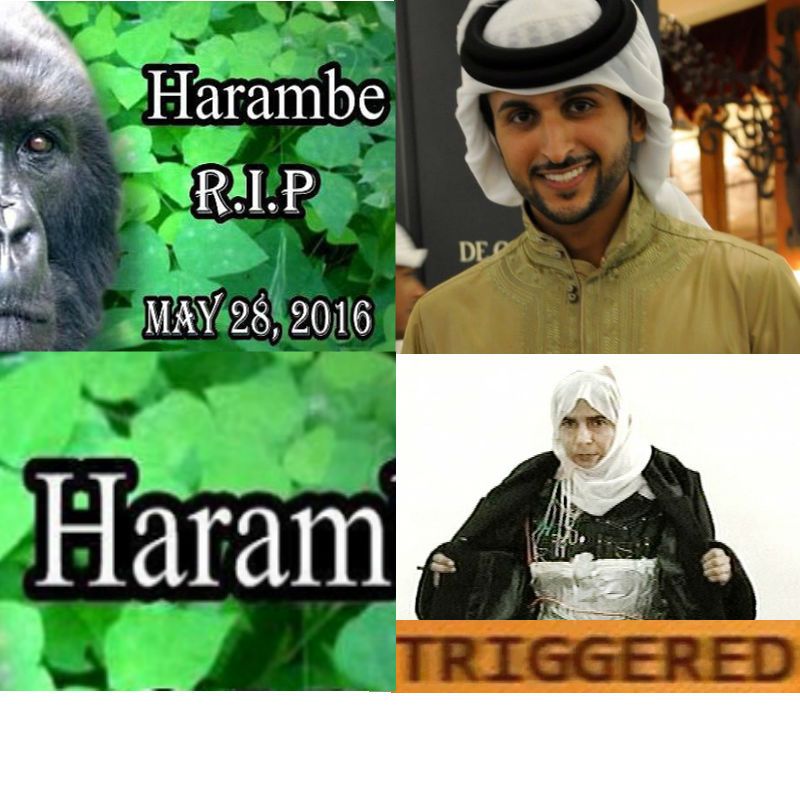 #PrayForHarambe