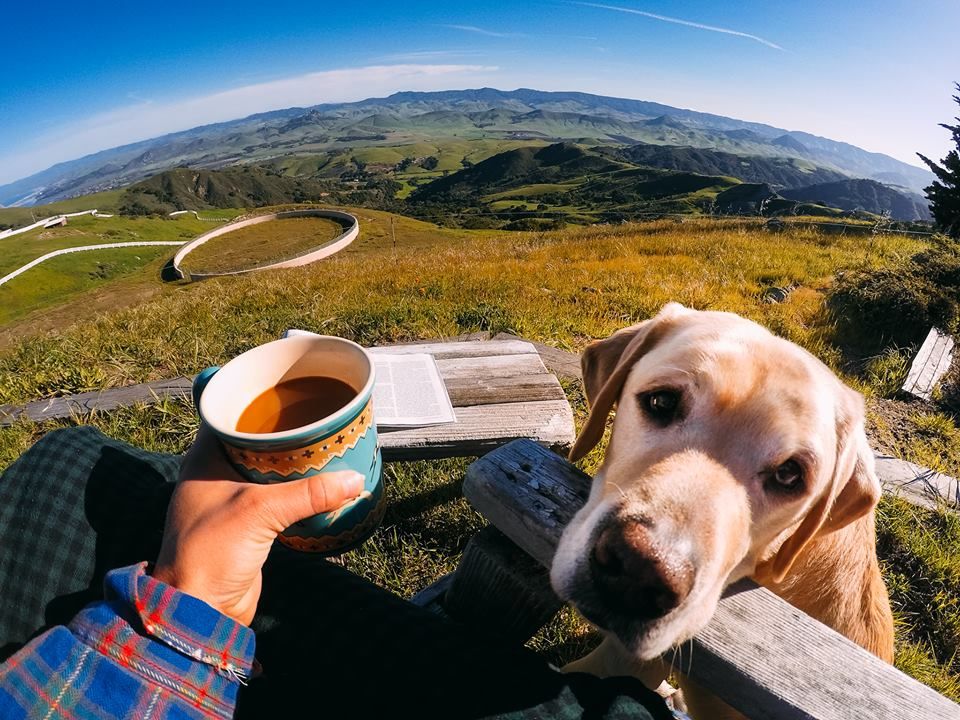 Coffee is better with a friend.