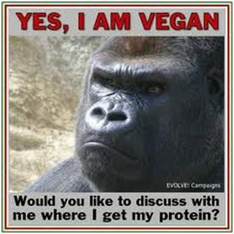 Harambe the vegan